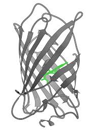 proteins-w-esm